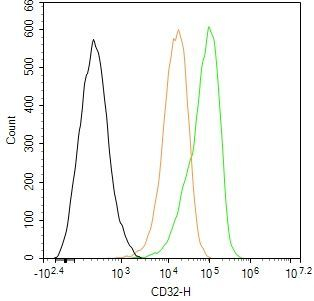 CD32 Antibody in Flow Cytometry (Flow)
