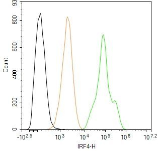 IRF4 Antibody in Flow Cytometry (Flow)