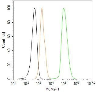 MCM2 Antibody in Flow Cytometry (Flow)