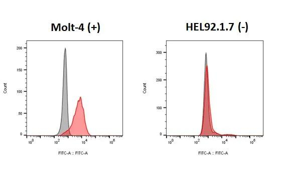 CCR9 Antibody in Flow Cytometry (Flow)