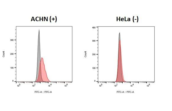 beta-2 Adrenergic Receptor Antibody in Flow Cytometry (Flow)