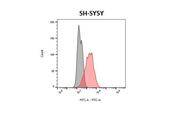 DRD2 Antibody in Flow Cytometry (Flow)