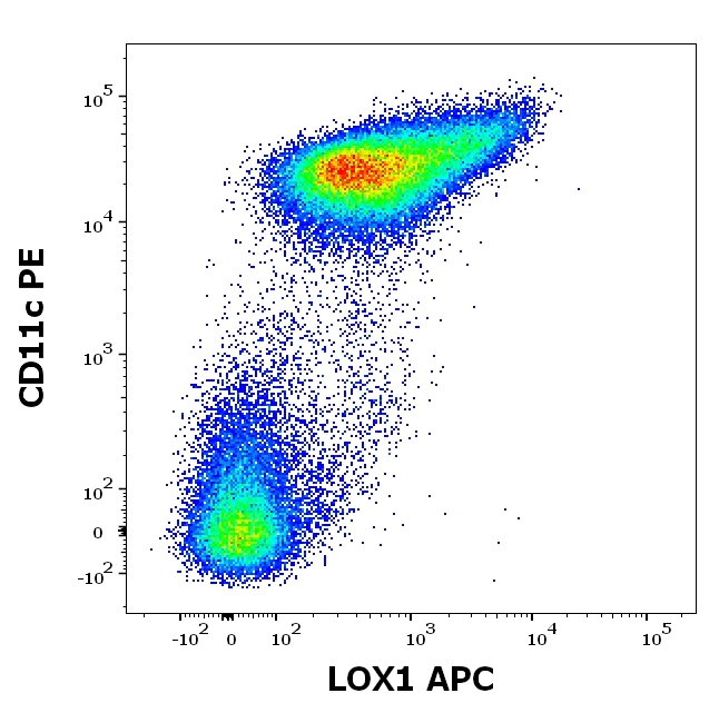 LOX-1 Antibody in Flow Cytometry (Flow)