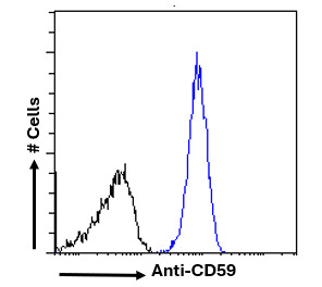CD59 Antibody in Flow Cytometry (Flow)