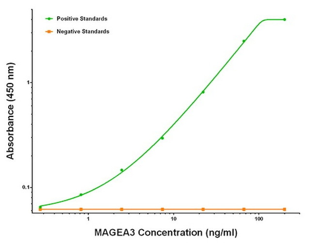 MAGEA3 Antibody in ELISA (ELISA)