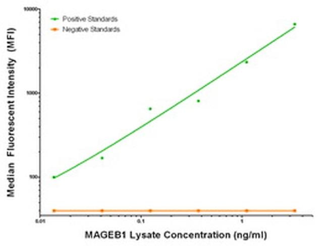 MAGEB1 Antibody in Luminex (Luminex)