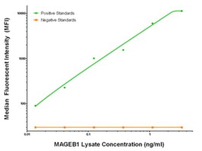 MAGEB1 Antibody in Luminex (Luminex)