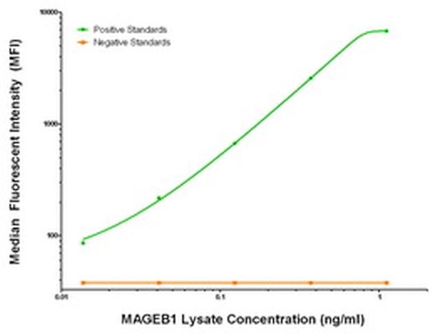 MAGEB1 Antibody in Luminex (Luminex)