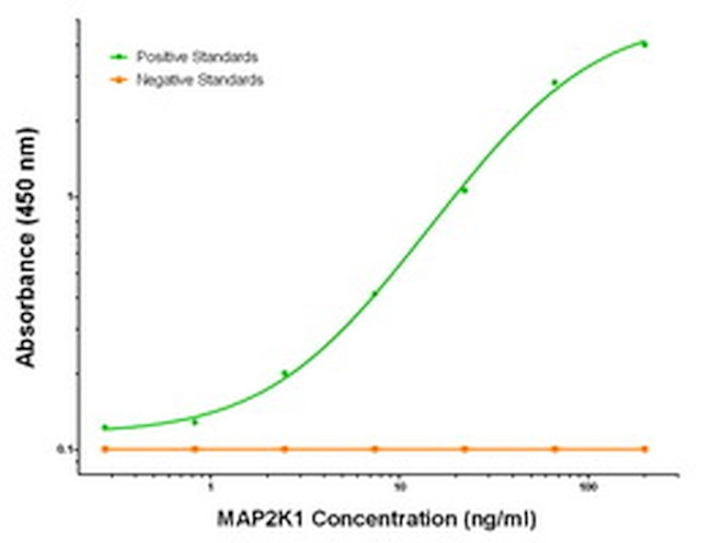 MAP2K1 Antibody in ELISA (ELISA)