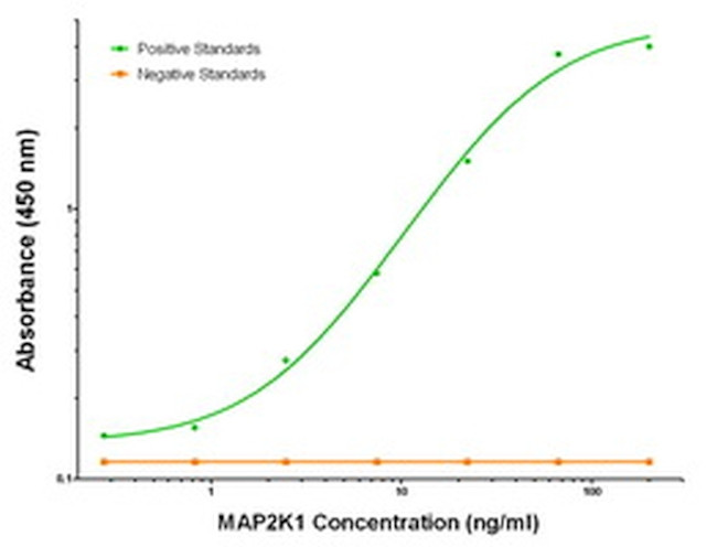 MAP2K1 Antibody in ELISA (ELISA)