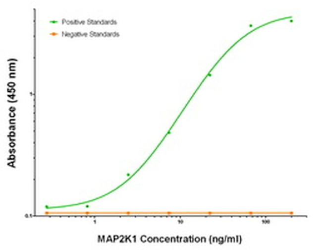 MAP2K1 Antibody in ELISA (ELISA)