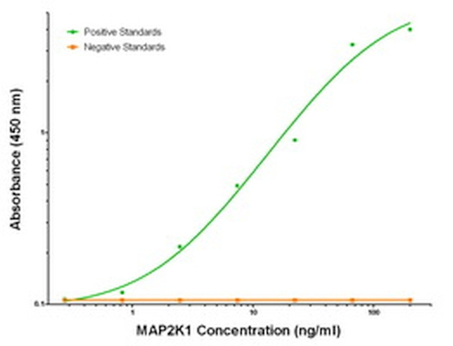 MAP2K1 Antibody in ELISA (ELISA)