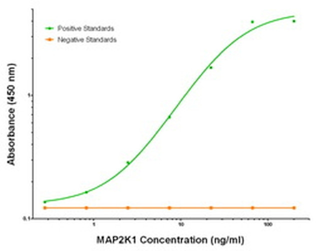 MAP2K1 Antibody in ELISA (ELISA)