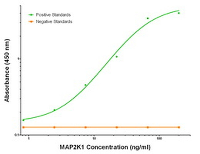 MAP2K1 Antibody in ELISA (ELISA)