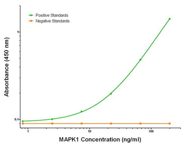 MAPK1 Antibody in ELISA (ELISA)