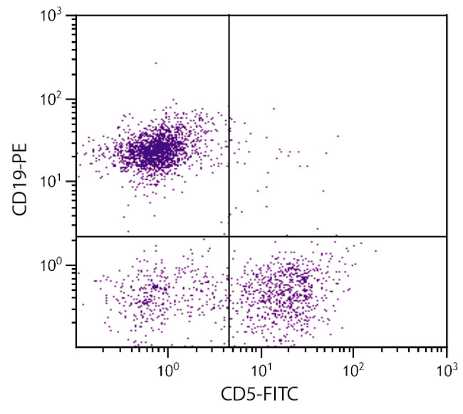 CD5 Antibody in Flow Cytometry (Flow)