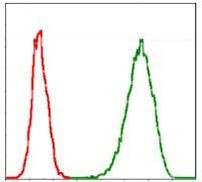 MCM2 Antibody in Flow Cytometry (Flow)