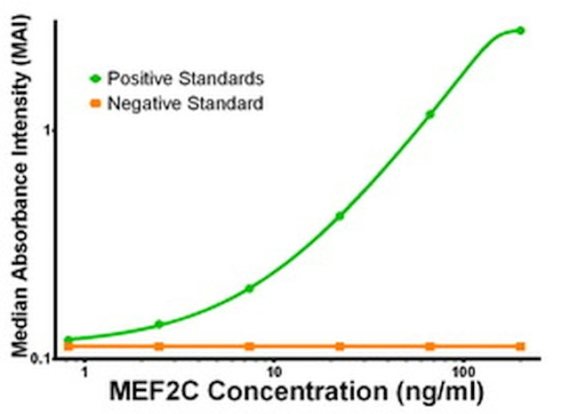 MEF2C Antibody in ELISA (ELISA)