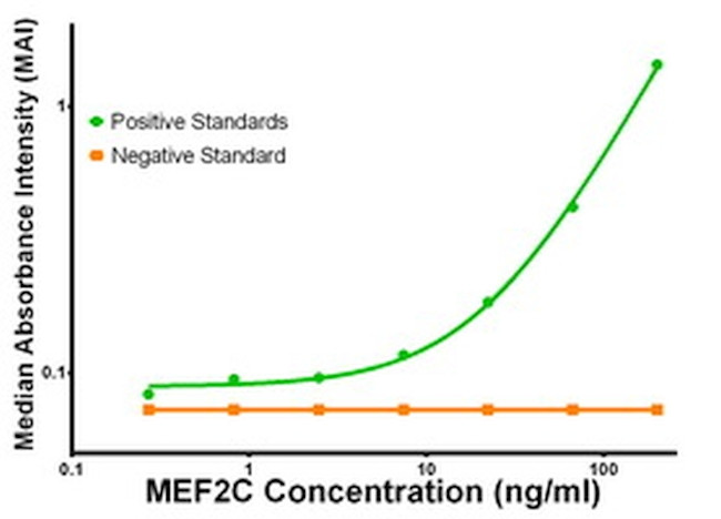 MEF2C Antibody in ELISA (ELISA)