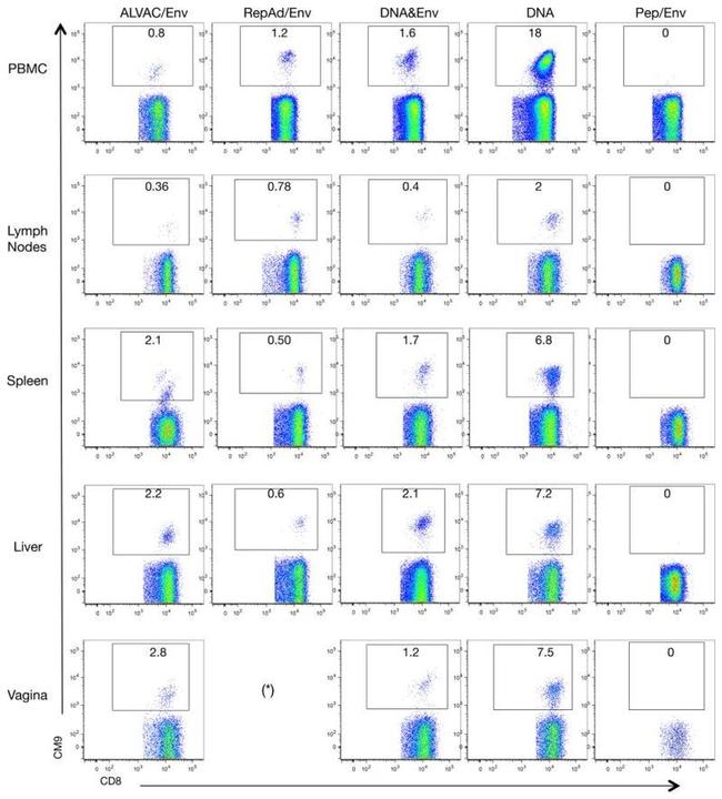 CD8 Antibody in Flow Cytometry (Flow)