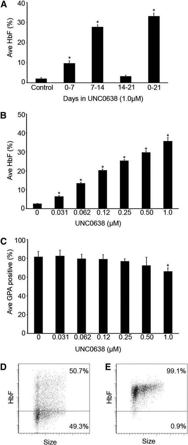 Fetal Hemoglobin Antibody in Flow Cytometry (Flow)