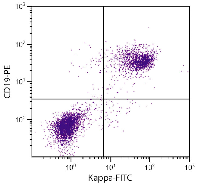 Mouse Kappa Light Chain Secondary Antibody in Flow Cytometry (Flow)