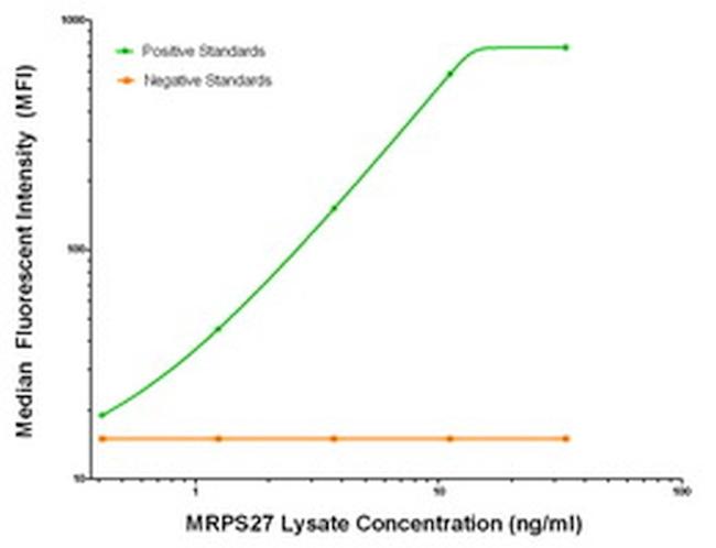 MRPS27 Antibody in Luminex (Luminex)