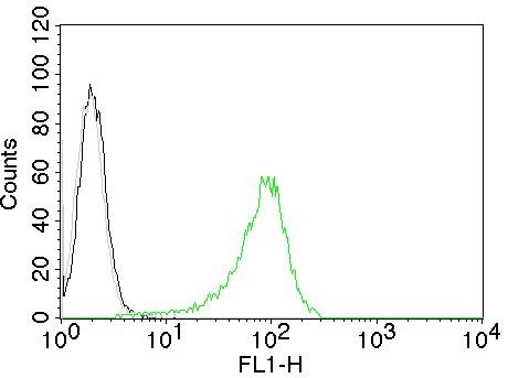 Human Nuclear Antigen (HNA) (Human Cell Marker) Antibody in Flow Cytometry (Flow)