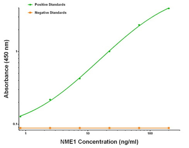 NME1 Antibody in ELISA (ELISA)