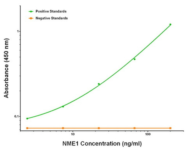 NME1 Antibody in ELISA (ELISA)