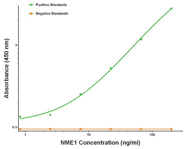 NME1 Antibody in ELISA (ELISA)