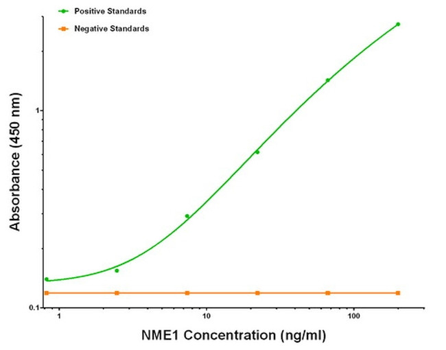 NME1 Antibody in ELISA (ELISA)