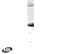 ZMPSTE24 Antibody in Western Blot (WB)