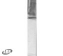 PSEN2 Antibody in Western Blot (WB)