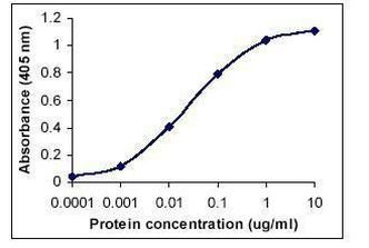 C1q Antibody in ELISA (ELISA)