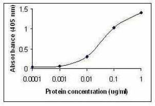 Haptoglobin Antibody in ELISA (ELISA)