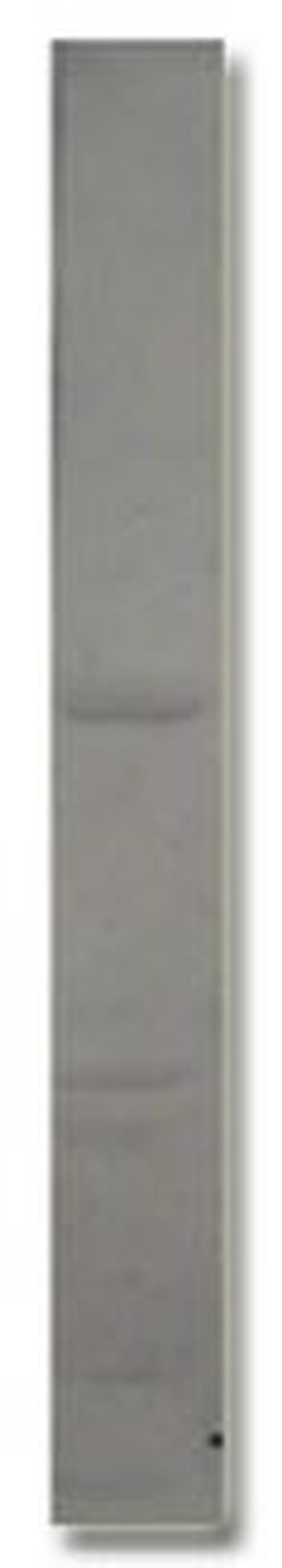 PDE4D3 Antibody in Western Blot (WB)