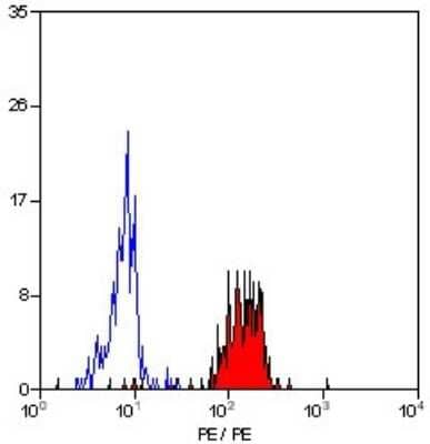 SMC4 Antibody in Western Blot (WB)