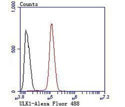 ULK1 Antibody in Flow Cytometry (Flow)