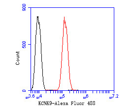 KCNK9 Antibody in Flow Cytometry (Flow)