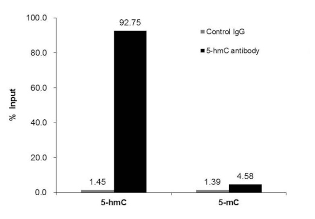 5-Hydroxymethylcytosine (5-hmC) Antibody in Methylated DNA Immunoprecipitation (MeDIP)