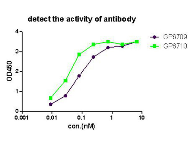 RBPMS Antibody in ELISA (ELISA)