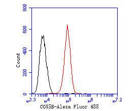 COX5B Antibody in Flow Cytometry (Flow)