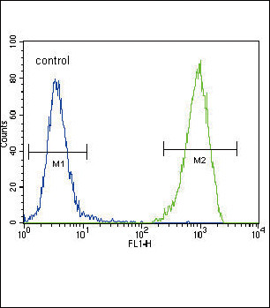 FLT3 Antibody in Flow Cytometry (Flow)