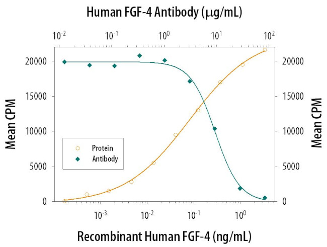 FGF4 Antibody in Neutralization (Neu)