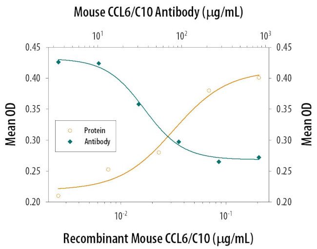 CCL6 Antibody in Neutralization (Neu)