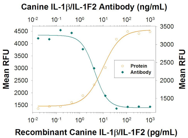 IL-1 beta Antibody in Neutralization (Neu)