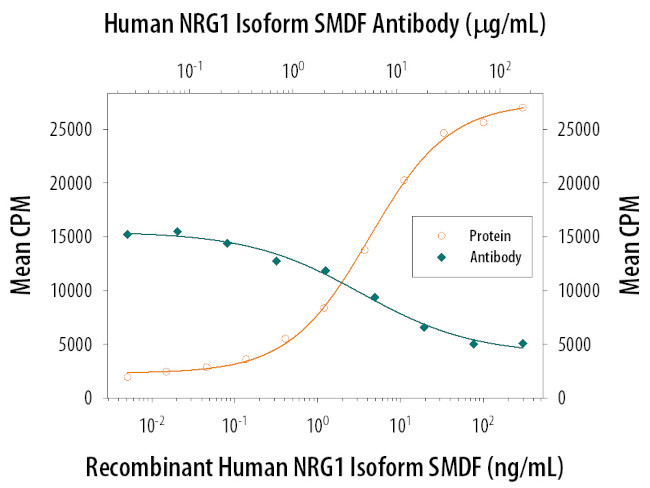 NRG1 Isoform SMDF Antibody in Neutralization (Neu)