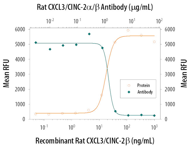CXCL3 Antibody in Neutralization (Neu)