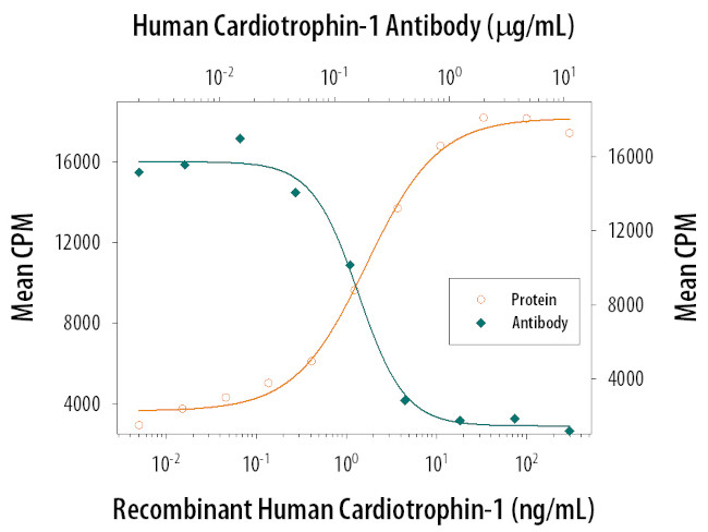 Cardiotrophin 1 Antibody in Neutralization (Neu)